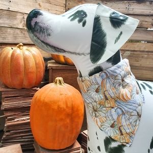 🐶 5 for $15 * Pablo Reversible Pumkin Fall Autumn Leafs Cotton Dog Banda